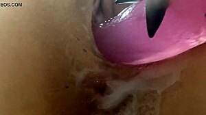 Ultimativ Cremet Fisse Legetøj Knep Close-Up