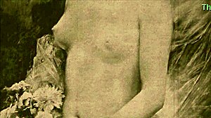 विंटेज इरोटिक इलस्ट्रेशन कलेक्शन