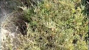 继母脱掉内裤用狂野海滩口交勾引继子