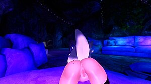 애니를 위한 검증 비디오