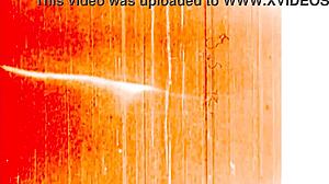 Čo všetko tajomstvá skrýva moja vintage animovaná život?