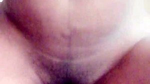 рекстипи проблясва путката на мелин с голямата си черна пишка