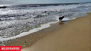 Јао да! Бикини милф шепури огромну гузу на јавној плажи