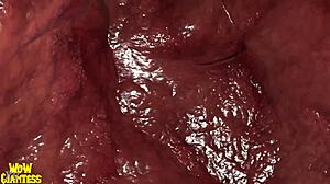 Hej, podívej se na tuhle Warcraft animaci, kde obří Alexstrasza polyká ve vore scéně