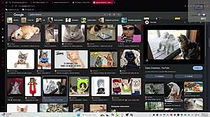 Henteria Chronicles 3 Част 29!