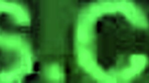 阿德琳·拉富因极端表演粗暴挑战