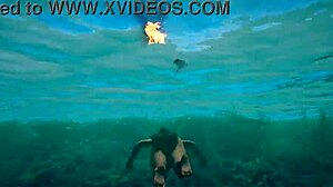 Sochy obrovský chuj roztiahne Larinu pičku