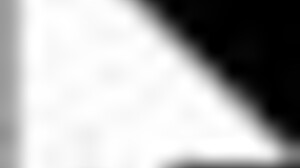 Near Guard Knight Wayne's Epic Anime Journey