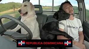 Top 5 countries with the most stomach rumbling in anime animations