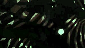 Vintage erotične risbe abecede očarajo gledalce