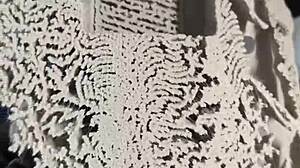 Lonely Pillow Nights Turn Wild with Anime Heat! 😍