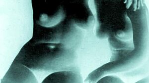 vintage erotic art with sensual retro vibes