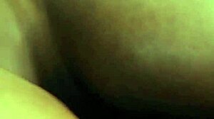 рекстипи проблясва путката на мелин с голямата си черна пишка