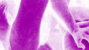 Hvilke Hemmeligheter Skjuler Seg i Vintage Erotisk Anime-Kunst?