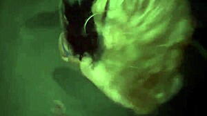 Saya Dan Kawan Buka Semua Untuk Orang Asing Di Jalan