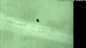 vintage erotic drawings with a classic sensual vibe.