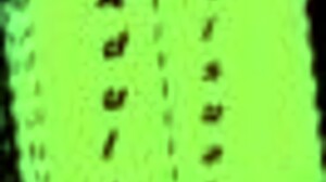 Leap of Faith 103 ukazuje velká prsa v 3D akci!