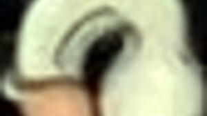 oh man, as robin in fuckerman, i get to bang harley quinn's big ass and tits in this batman parody game