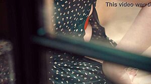 나눠진 섹시 찰리 포드