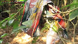this dark man grabbed the ebony influencer with natural big tits for outdoor squirting fuck in africa bush.