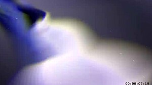 overwatch widowmaker hmv out