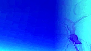 Seira Kurahashi's Ecchi Scene In Tsuki No Kanata De Aimashou!