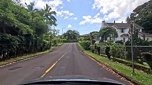 Road Trips on Oahu's Windy Drives