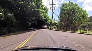 Road Trips on Oahu's Windy Drives