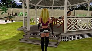 ルーラの3Dビデオ証拠02