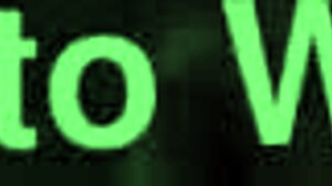 守望先锋和堡垒之夜并排PMV