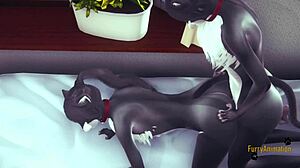 Look At Furry Yiff Yaoi Twin Cats Blowjob And Fucked!
