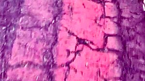 I brought a huge black favela stud from the trail to fuck me hard!