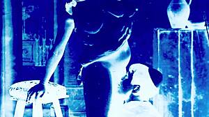 Винтидж еротична колекция от класически комикси и анимации