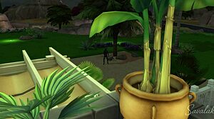 Sims Story Robbery Into The Palace Of An Arabic Queen