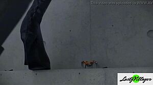 best 3d animated compilation part-1