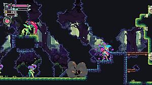 פליפוויץ', סקס אסור הקס