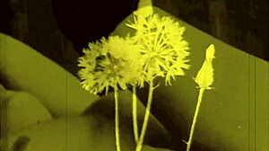 Retro Erotické Umenie plné Nahoty