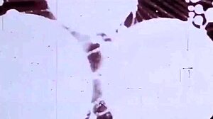 אוסף אמנות ארוטית וינטג' מימי הרטרו