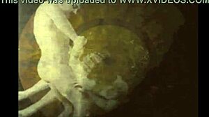 vintage erotic art collection from retro times