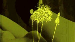 Колекция винтаж ретро рисунки 😍📜