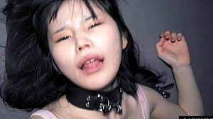 Šukám anime holku?