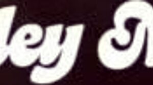 Big Ass Coworker Insists on No Condom Raw Pounding