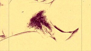 i remember finding this vintage erotic illustration it got me thinkin