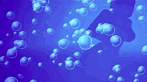 Kira busts pervs fucking fountain