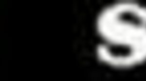 Law School Sparks Unexpected Rose Encounter