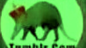 wolf canine fantasy creampie cum pussy in wilderness 3d hentai sub spanish