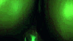 lulu gets vicious fantasy creampie with huge cock
