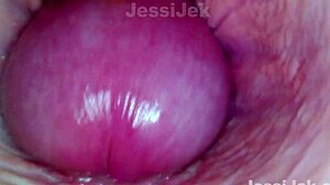dream babe got twice creampie endoscope inside showed extreme fuck jessijek