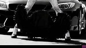 Genshin Impact Skirt Dance Seduction Moves